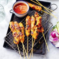 Meat Skewer Round Grill Healthy Bamboo Stick/Skewer for BBQ