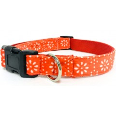 Dog Collar  Patterned Pet Collar  Cat Collar  Padded Dog Collar  Custom Collar  Personalised Dog Col图1