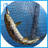 Professional Production Durable Braided Green PE Fishing Net