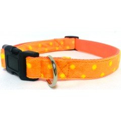 Dog Collar  Patterned Pet Collar  Cat Collar  Padded Dog Collar  Custom Collar  Personalised Dog Col图1