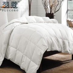 Soft Polyester Filled White Wholesale Quilt Guangzhou for Hotels图1