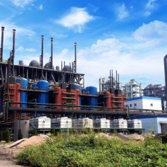 High Continuous Availability Circulating Fluidized Bed Gasifier for Biomass图1