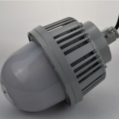 LED Explosion-Proof Waterproof Dock Lighting/Lamps/Floodlight图1