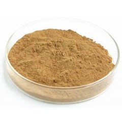 Supply Hawthorn Leaf Extract for Functional Food图1