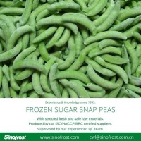 Top Quality  IQF Sugar Snap Peas  Frozen Sugar Snap Peas  IQF Frozen Sugar Snap Peas  IQF Sweet Bean