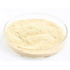 Ginseng Extract图1