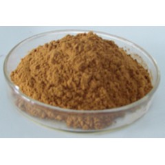 Reishi Mushroom Extract for Functional Food图1