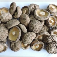 Dried Shiitake Mushroom 50g  100g  200g  400g