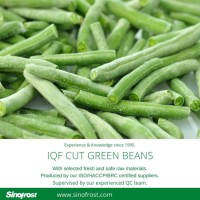 Best Prices Frozen Green Bean Cuts  IQF Cut Green Beans Frozen Cut Green Beans  Frozen Green Beans