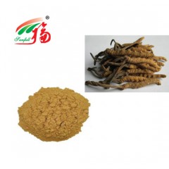 Cordyceps Mushroom Powder for Improving Immnue图1