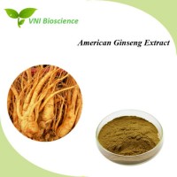 ISO Certified 100% Natural American Ginseng Extract with Anti-Cancer