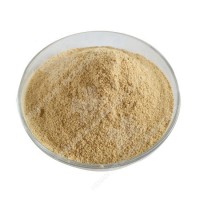 Brewers Yeast Dry Powder to Enhance The Immunity Saccharomyces Cerevisiae Nutritional Yeast