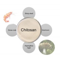 Chitosan MW 327kda  9012-76-4  Chitosan High Purity  Mv 40  000-60  000  Chitosan Oligosaccharide