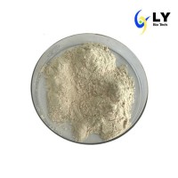 Factory Supply Food Grade High Quality Yeast Extract 8013-01-2