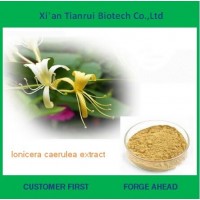 Factory Supply Natural Lonicera Caerulea Extract