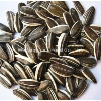 The Best Sunflower Seeds in Shell Bulk Wholesale 361  363  601  5009