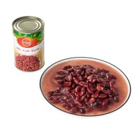 Factory Direct Sale Canned Red Kidney Beans with Best Price