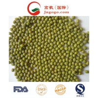 Crop High Quaity Green Mung Bean