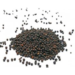 Wholesale Single Spices Black Pepper for Restaurant图1