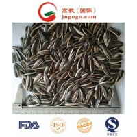 Chinese White and Black Sunflower Seeds 5009  363  601 Exporter