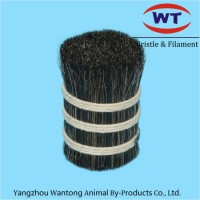 Double Drawn Horse Tail/Mane Hair Horsetail for Brushes