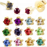 Fashion Jewelry 316L Stainless Steel Jewelry Five Claw Ear Studs Birthstone Ear Piercing Ear Rring E