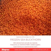 Frozen Cultivated Sea Buckthorn IQF Cultivated Sea Buckthorn IQF Sea Buckthorn Frozen Sea Buckthorn