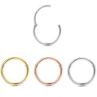 Factory Wholesale Hand-Polished 316L Surgical Stainless Steel Jewelry Body Piercing Hinged Segment R