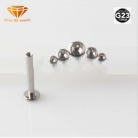 Top Quality Fashion Jewelry Nose Stud G23 Titanium Piercing White Stones   Labret Studs for Lip