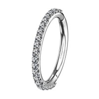 ASTM F136 Titanium Hinged Segment Ring with Prong Set CZ Hoop Ring Body Piercing Jewelry 16g 1.2*5mm