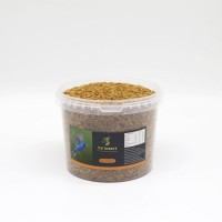 Export Dried Fly Larvaes as Bird Food