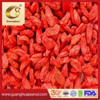 Best Quality Ningxia Dried Goji Berry From China