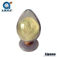 CAS 9001-62-1 Supplement Enzyme Lipase for Food Additives