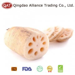 Top Quality Fresh Whole Lotus Root图1