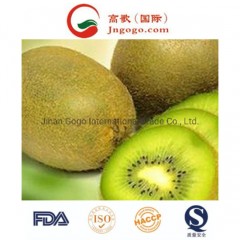 Delicious Taste Fresh Kiwi Fruit图1