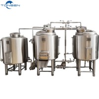 Pilot System 200L 300L Home Beer Brewing Equipment on Sale