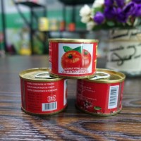 Customer's Brand 100% Purity Tomato Paste 70g with High Quality HACCP Standards