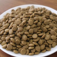 Wholesale Organic Adult and Kitten Pet Cat Food