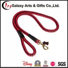 Wholesale Polyester Material Custom Dog Leash Rope图1