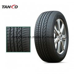 Durun Goodway Brand Radial UHP Luxury City Car Tyre (205/45ZR17)图1