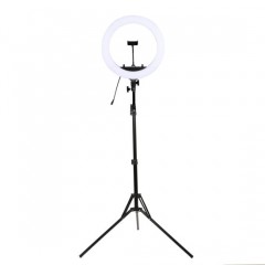 10-12 Inch Ring Light with Floor Tripod图1