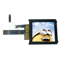 2.95 Inch OLED Display 1080*1200 Dual Square Display for Vr Ar HMD DIY China