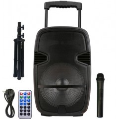 China 15 Inch Trolley Bluetooth Speaker with LCD Screen图1