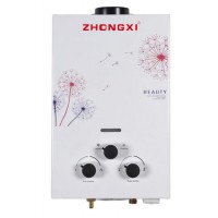 20L Fashionable Beautiful Design Stainless Steel Gas Water Heater