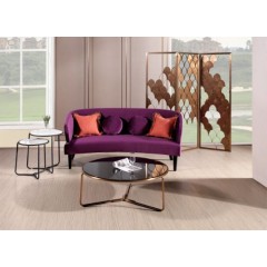 Living Room Double Seat Purple Velvet Back Sofa Furniture with Metal Feet图1