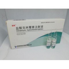 Clindamycin Phosphate for Injection 300mg图1