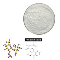 Cosmetic Grade Raw Material Powder Hyaluronic Acid