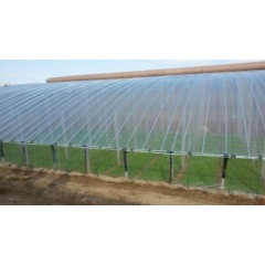 PE/LDPE/HDPE/PVC/EVA Plastic Greenhouse Film for Sale图1