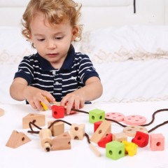 Wooden Lacing Geometric Shape Blocks Set Toy for Kids 1 Year up Educational Shape Color Sorter Woode图1