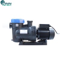 Professional 2pH 12V Freestanding Swimming Pool Water Pump